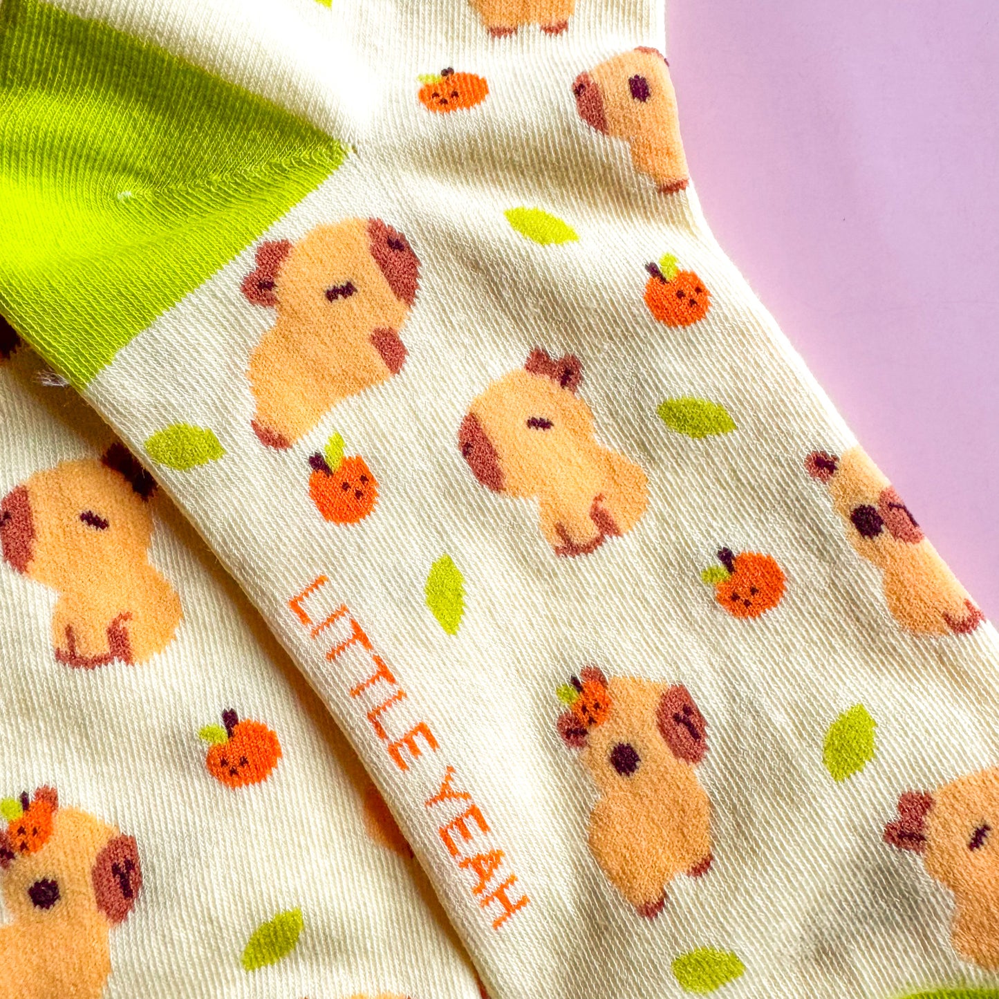 Capybaras - Cute Socks