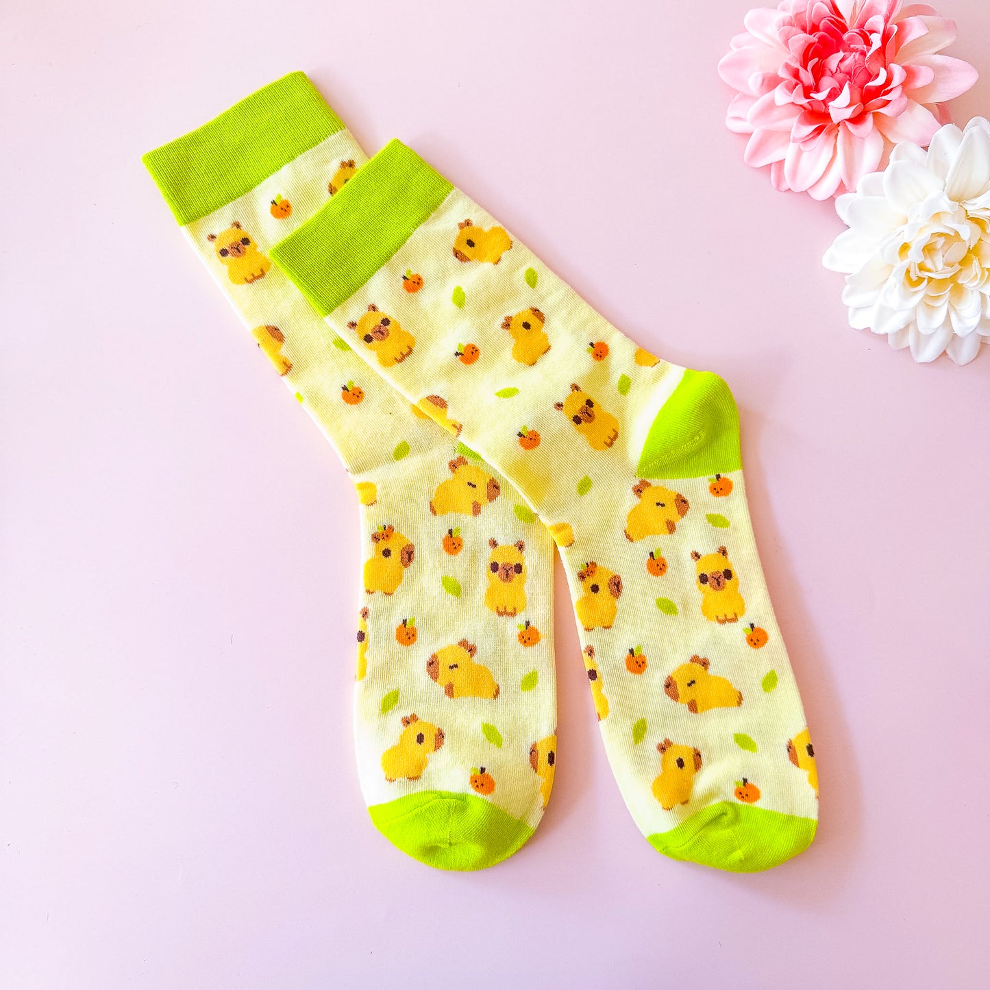 Capybaras - Cute Socks