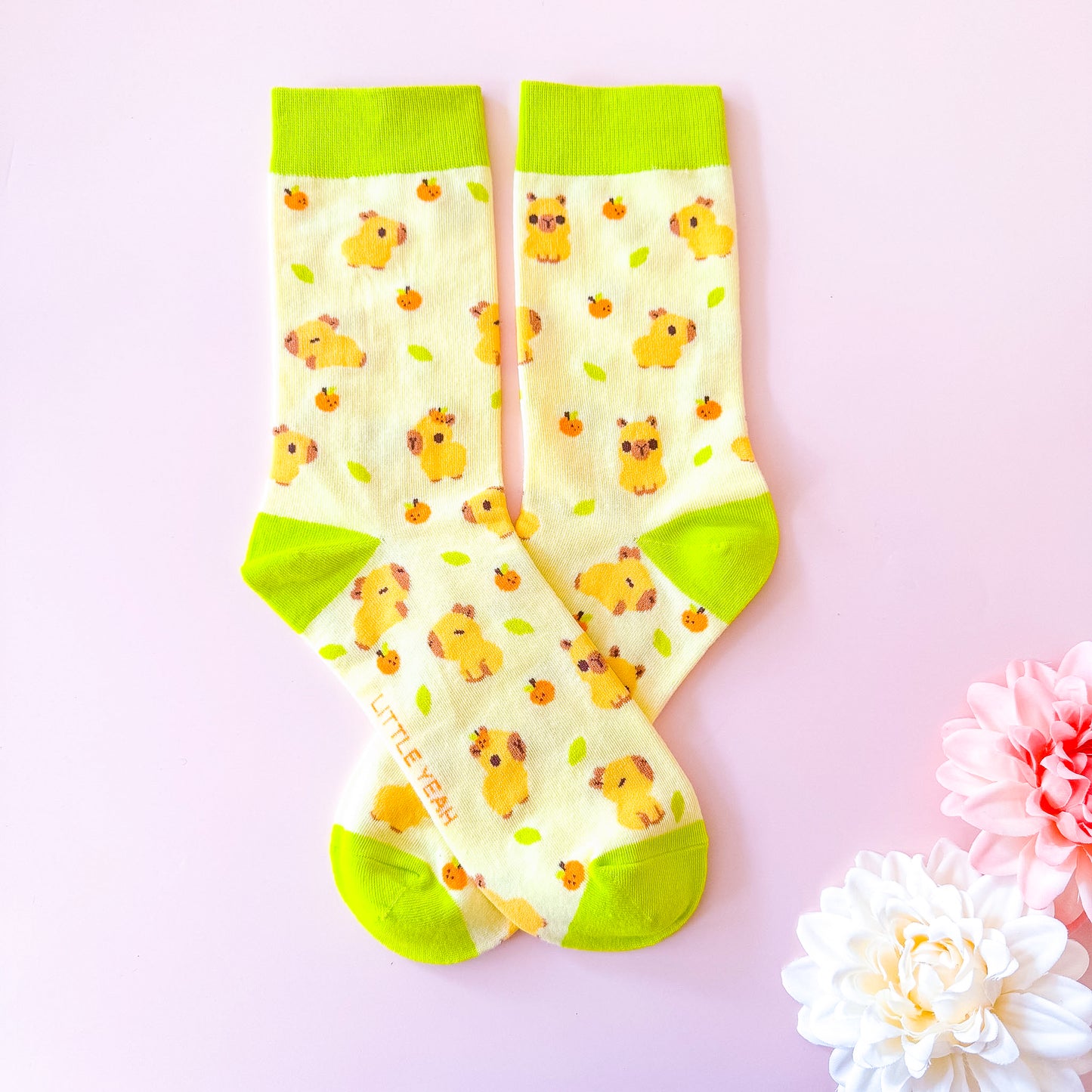 Capybaras - Cute Socks