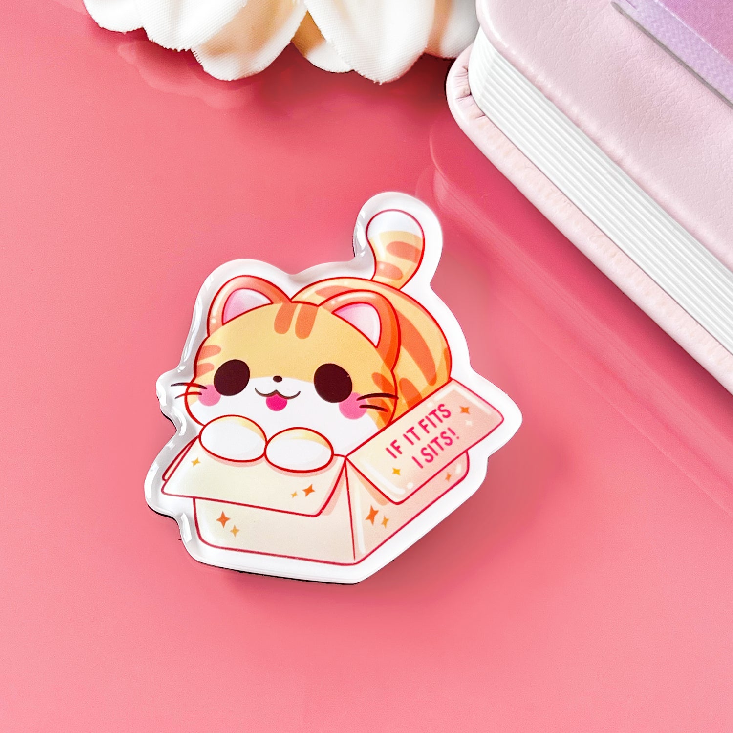 Cat fits in the box magnet