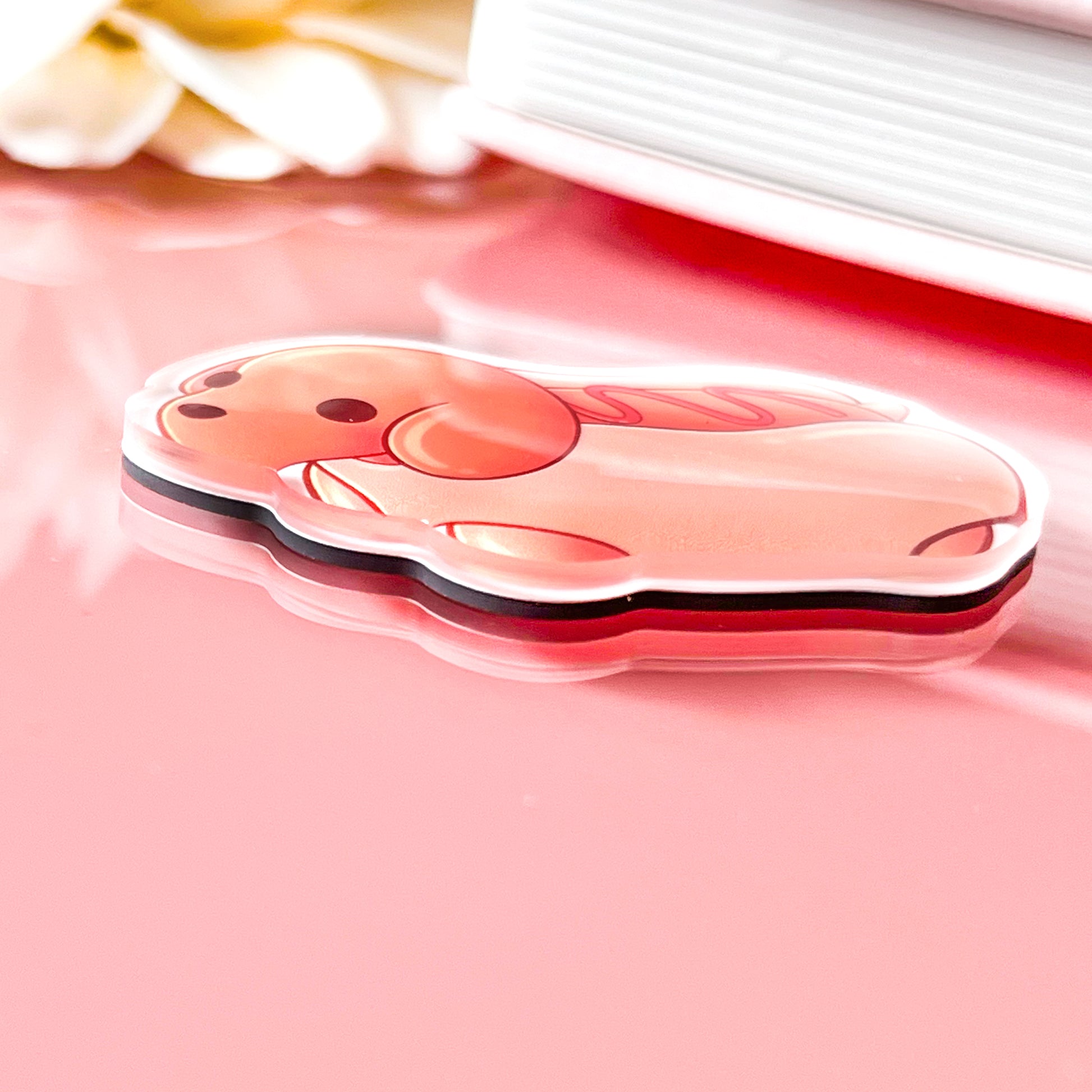Süßer Hot Dog Magnet